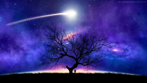 небо, звёзды, падающая звезда, метеорит, дерево, трава, человек, синие, чёрные
